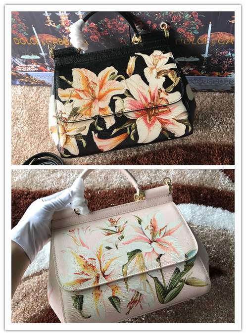 Picture of Dolce Gabbana Handbags _SKUfw121380574fw